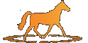 Forum equitation